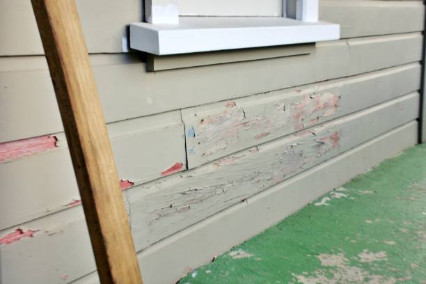Best Historical Building Siding Restoration  in USA